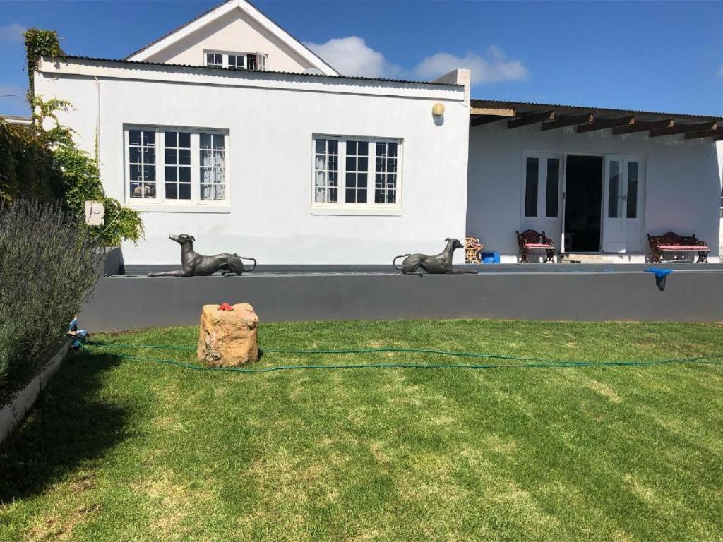 De La Fontaine Guest Cottage And Pool View Luxury Suite Plettenbergbaai Buitenkant foto